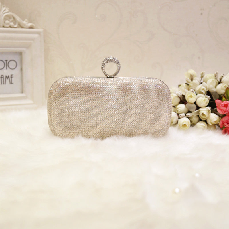 Shining Silver Clutch Bag