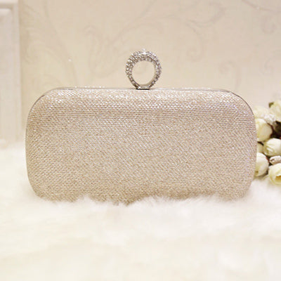 Shining Silver Clutch Bag